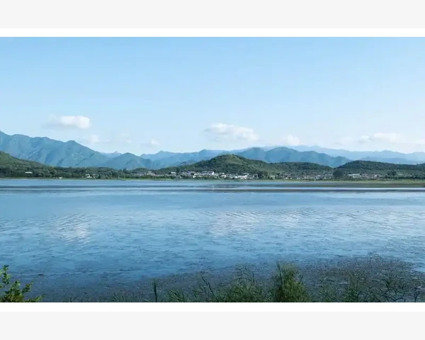 清肺祛湿米糊的食用方法及好处
