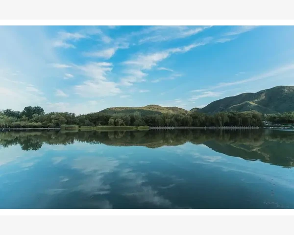 中医药调理减肥：中药的奇效与科学依据