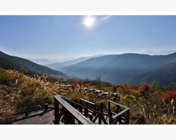姜糖水的熬制方法与驱寒效果解析